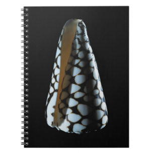 Cone shell 2 notebook