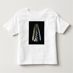 Cone shell 2 toddler T-Shirt