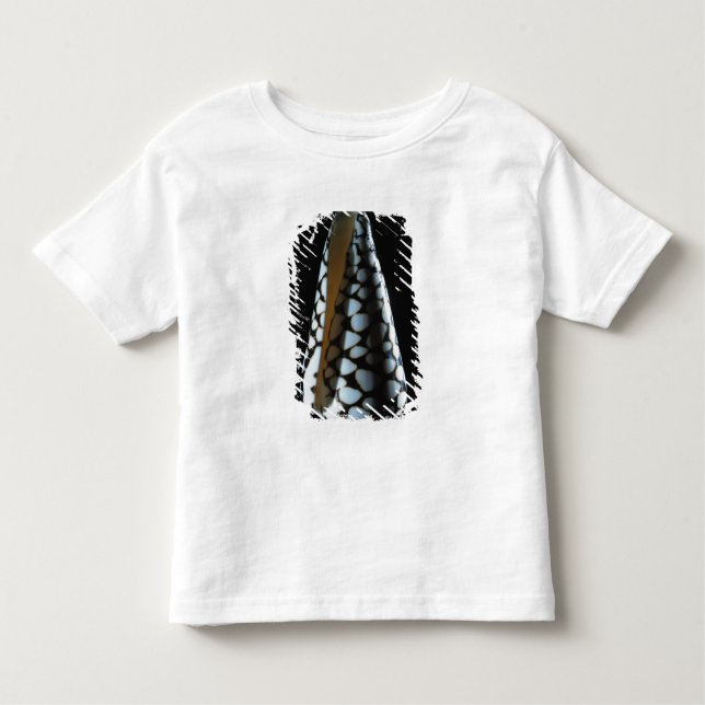 Cone shell 2 toddler T-Shirt (Front)