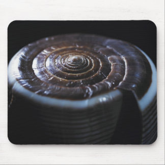 Cone shell mouse pad