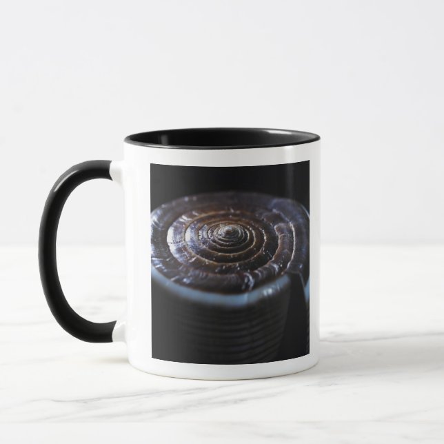 Cone shell mug (Left)