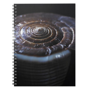 Cone shell notebook