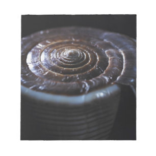 Cone shell notepad