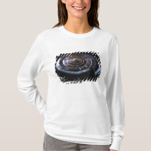Cone shell T-Shirt