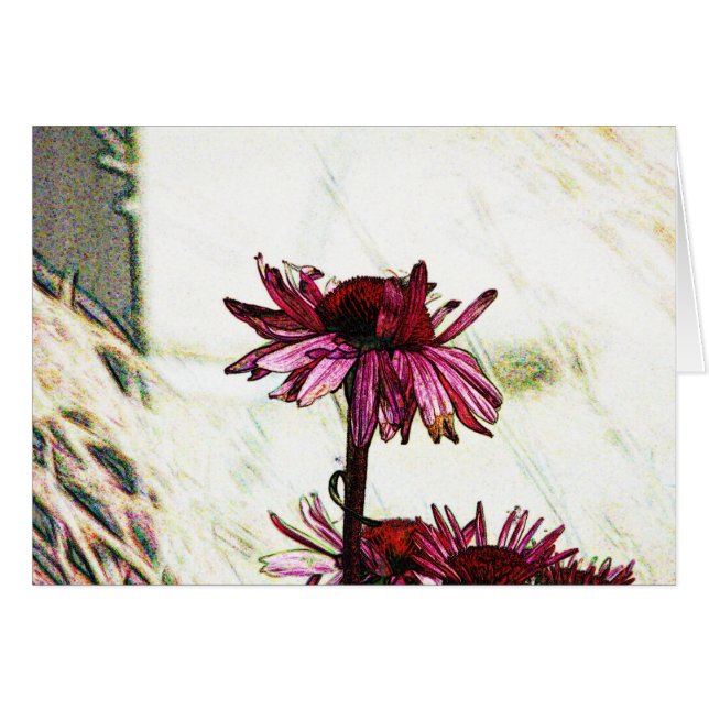 Coneflower Art (Front Horizontal)