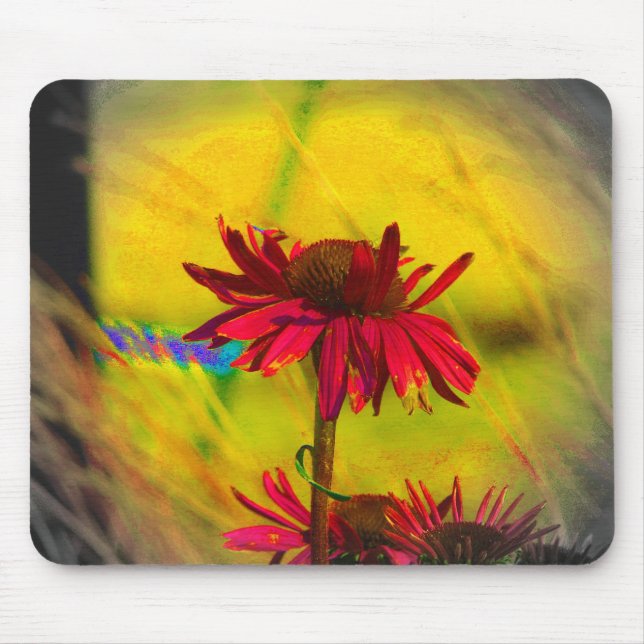 Coneflower Art #2 Mouse Pad (Front)