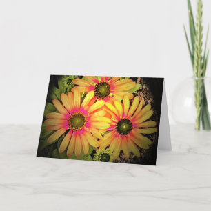 Coneflower, card