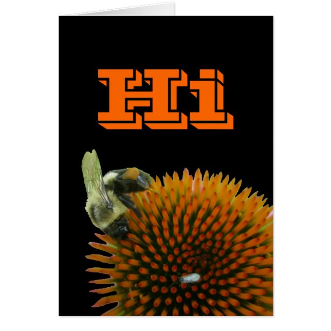 Coneflower & Eastern Carpenter Bee Items (Front)
