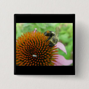 Coneflower & Eastern Carpenter Bee Items 15 Cm Square Badge