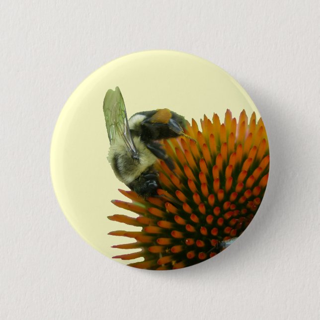 Coneflower & Eastern Carpenter Bee Items 6 Cm Round Badge (Front)