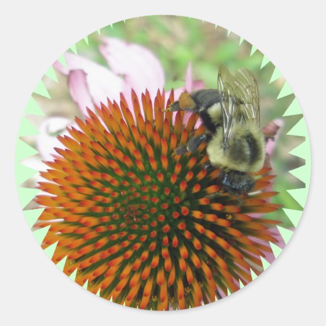 Coneflower & Eastern Carpenter Bee Items Classic Round Sticker (Front)