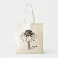 Coneflower (Echinos)