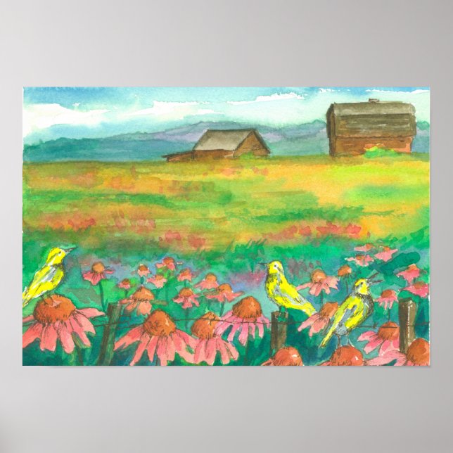 Coneflower Field Meadowlarks On Fence Poster (Front)