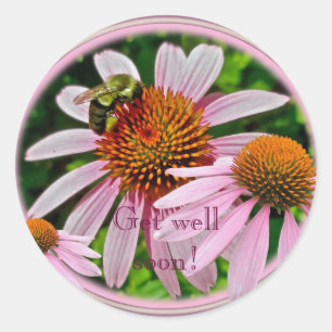 Coneflower Get Well Soon Classic Round Sticker