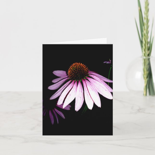 Coneflower Note Card (Front)
