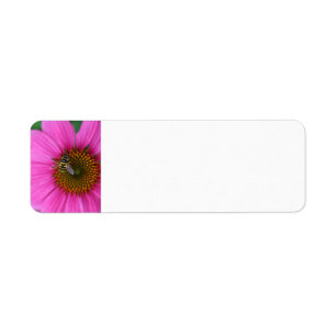 Coneflower Return Address Label