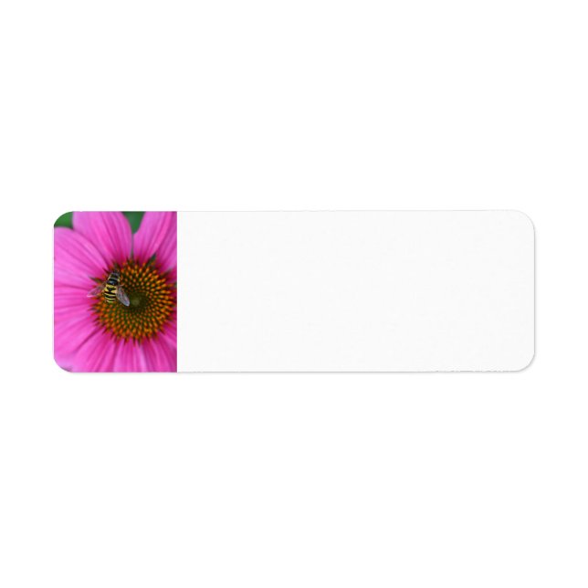 Coneflower Return Address Label (Front)