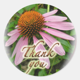 Coneflower Thank You Coordinated Items Classic Round Sticker