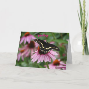 Coneflower With Black Swallowtail Butterfly. Card