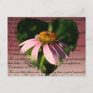Coneflower with friendship verse postcard