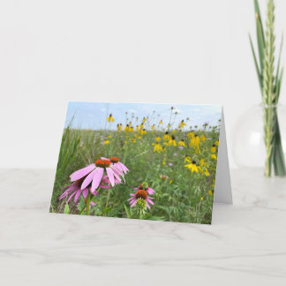 Coneflowers at Prairie Bluff Preserve Card