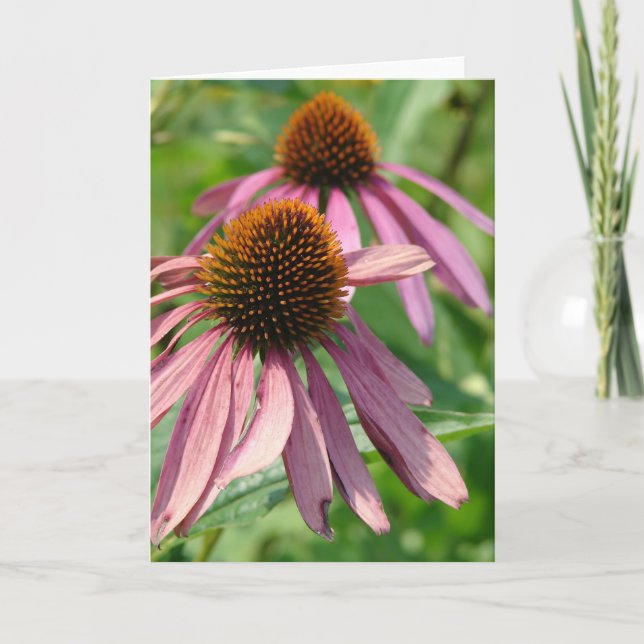 Coneflowers Card (Front)