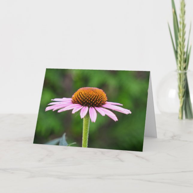 Coneflowers Card (Front)