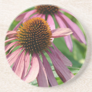 Coneflowers Coaster