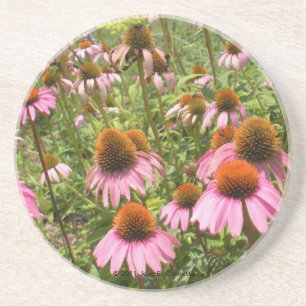 Coneflowers Coaster