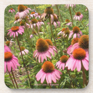 Coneflowers Cork Coaster