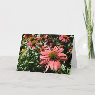 Coneflowers Greeting Card