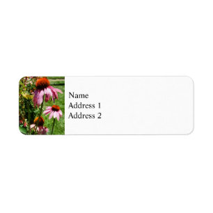 Coneflowers in Garden Return Address Label