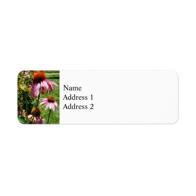 Coneflowers in Garden Return Address Label (Front)