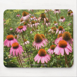 Coneflowers Mousepad