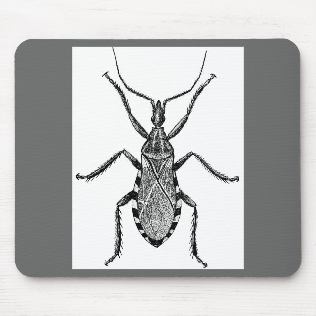 Conenose Bug - Vintage Mouse Pad (Front)