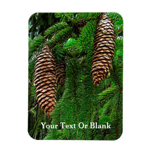 Cones And Needles Magnet