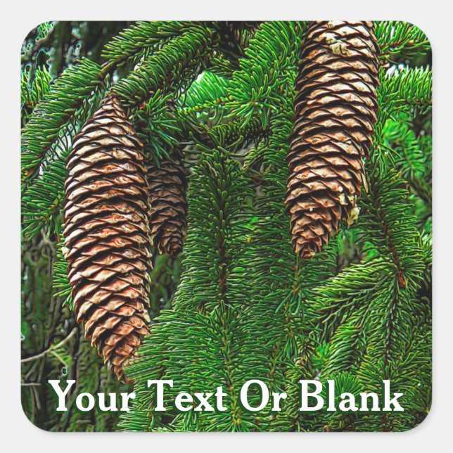 Cones And Needles Square Sticker (Front)