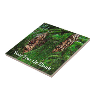 Cones And Needles Tile