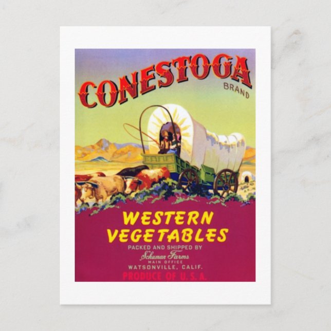 Conestoga Western Vegetables Postcard (Front)