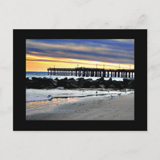 Coney Island Postcard