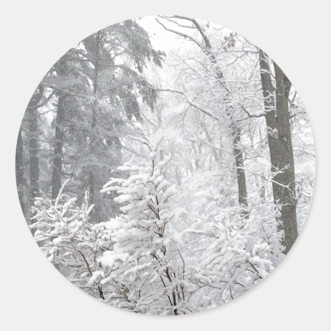 Confections in Snow --- Classic Round Sticker (Front)