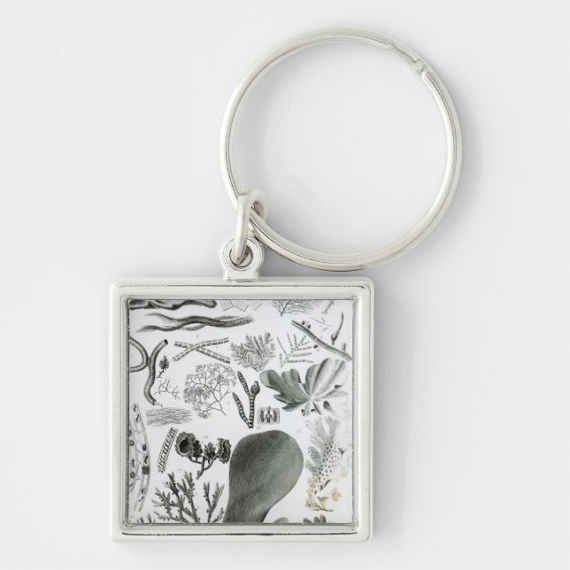 Conferra Fucus Key Ring (Front)