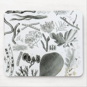 Conferra Fucus Mouse Pad