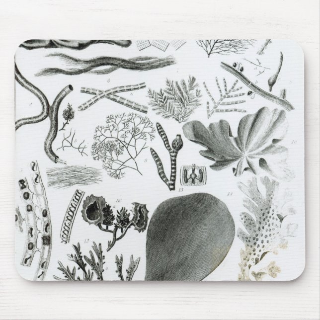 Conferra Fucus Mouse Pad (Front)