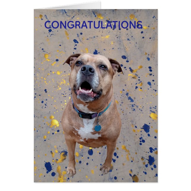 Confetti Congratulations Card (Front)