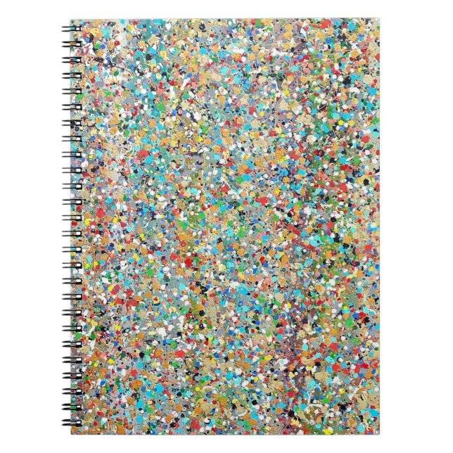 Confetti's Notebook (Front)