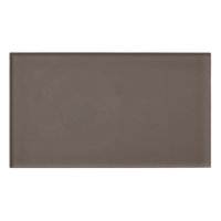 Confidently Against a Stylish Brown Wall