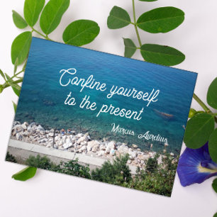 Confine yourself latin proverb  poster