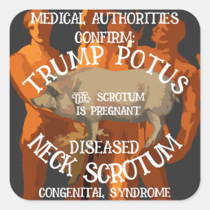 CONFIRMED TRUMP'S NECK SCROTUM IS PREGNANT SQUARE STICKER