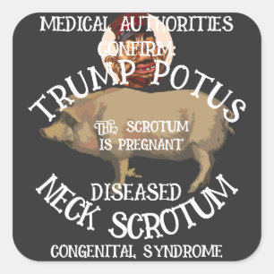 CONFIRMED TRUMP'S NECK SCROTUM IS PREGNANT SQUARE STICKER